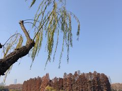 -东湖生态旅游风景区