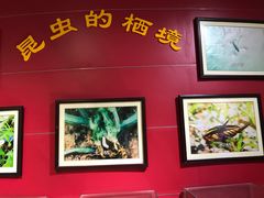 -上海昆虫博物馆
