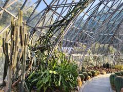 -深圳仙湖植物园