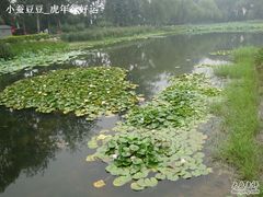 -紫竹院公园冰场