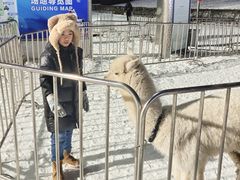 -沈阳奥体冰雪嘉年华