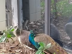 -广州从化都喜泰丽度假酒店温泉