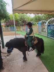 -萌宠亲子动物乐园(槐房万达店)