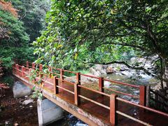 -广州市石门国家森林公园