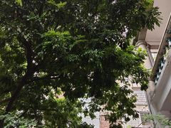 -百家春好德来姜母鸭
