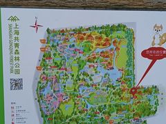 -上海共青森林公园