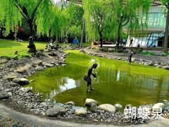 -苏州河梦清园环保主题公园