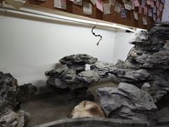 -白兔子密室(长寿路店)