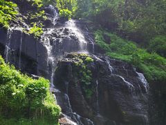 -望天鹅景区