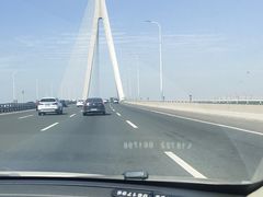 -0317火锅鸡·清真(正达店)