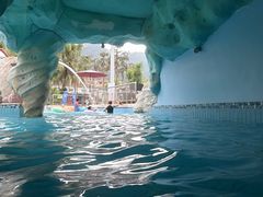 -重庆海昌加勒比海水世界