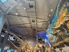 -自贡恐龙博物馆