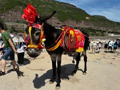 -陕西黄河壶口瀑布旅游区
