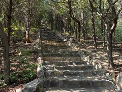 -龙口南山旅游景区