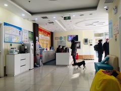 -美联众合动物医院·24h京西诊疗中心