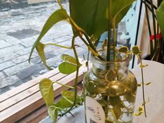-红小姐咖啡馆(西津渡店)