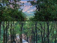 -火炉山森林公园