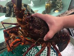 -甄御•海鲜新青岛菜(麦岛店)