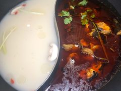 双拼锅底-新辣道鱼火锅(上地华联店)