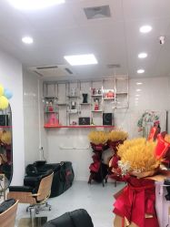 -TRIMS HAIR 修剪造型·烫染接发