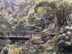 -青城山