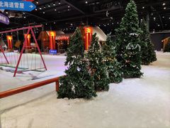 -宁波冰雪大世界(北仑区)