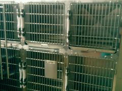 -创凡宠物医院·骨专科  猫科中心(西乡分院)