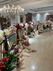 -禾丽康美医疗美容医院