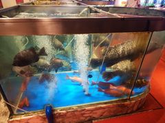 -惠食佳(滨江大公馆店)