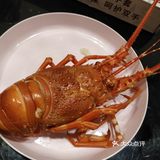 少女心。青龙需要提前预约，现在是68元一只