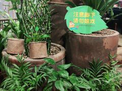 -老客家·客家菜(万达店)
