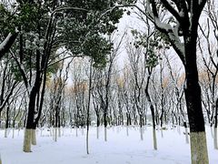 -武汉两江游览·夜游长江(汉口粤汉码头)