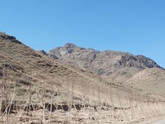 -新疆天山野生动物园