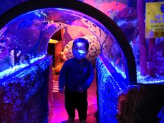 -沈阳海洋探索中心