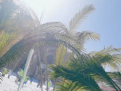 -蓟洲国际滑雪场