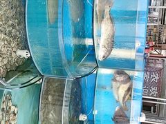 -沿海渔家院海鲜烧烤·东北菜(东戴河店)