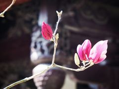 -南华禅寺