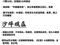 -巴将军·非遗老字号火锅(解放碑店)