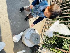 -绵阳人民公园(涪城区)