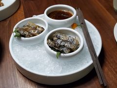 -CHIC1699远洋私厨