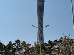 -和苑·精致粤菜(珠江新城店)