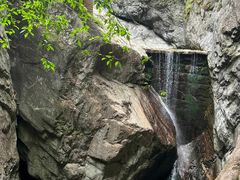 -牛背梁国家森林公园