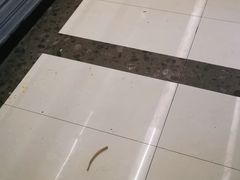 -1号火吧·吃着火锅·唱着歌