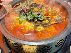 -探鱼·鲜青椒爽麻烤鱼(广州欣荣广场店)