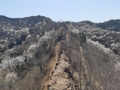 -蟠龙山长城景区