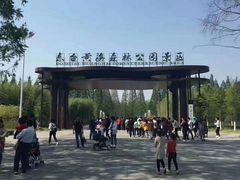 -黄海国家森林公园