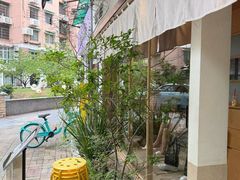-真打拉面·日式拉面新流派(体育西横街店)
