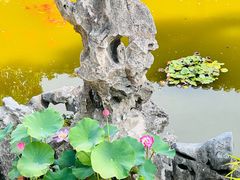 -个园