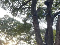-无锡梅园公园
