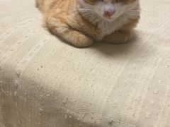 -咖啡人·融合餐厅(万达环宇店)